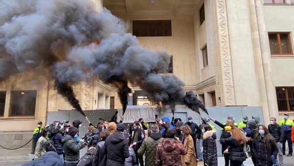 Акция оппозиции Скотный двор перед зданием парламента 25 ноября 2020 года - Sputnik Грузия