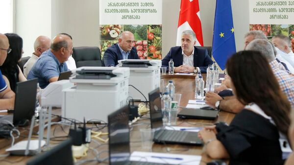 Координационный штаб для организованной закупки нестандартных яблок в городе Гори (регион Шида Картли) открыл глава Минсельхоза Отар Шамугия - Sputnik Грузия